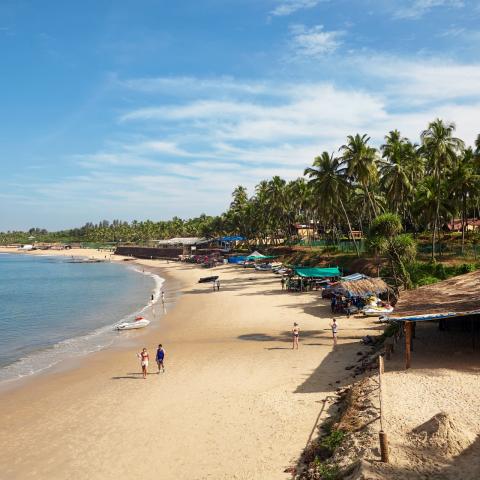 goa