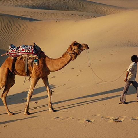 sand dunes