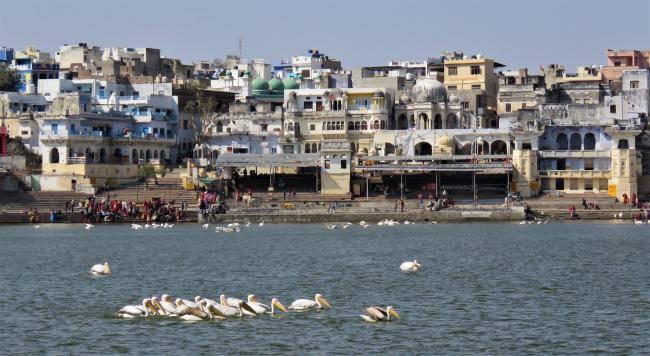 pushkar lake