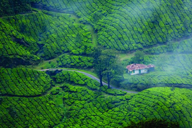 munnar