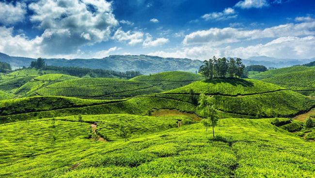 Kerala Tour Packages