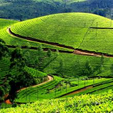 munnar 3