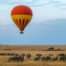 Masai Mara