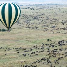 Masai Mara