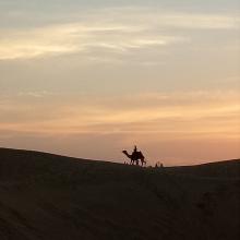 sand dunes