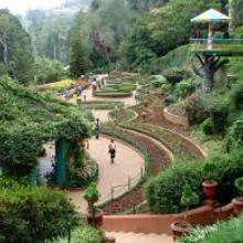 Ooty