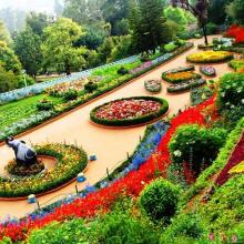 Ooty