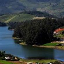 Ooty